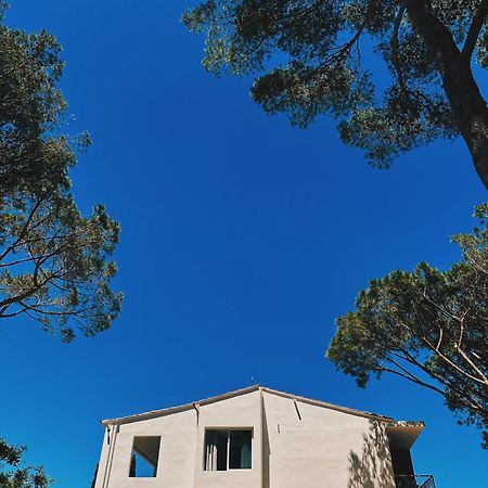 Can Romy Appartement T2F A 20M De La Plage De Cala Montgo Ля Эскала Экстерьер фото